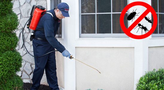 Sivrice Kemirgen İlaçlama böcek ilaçlama ve haşere kontrolü — ilaclama-tr.com